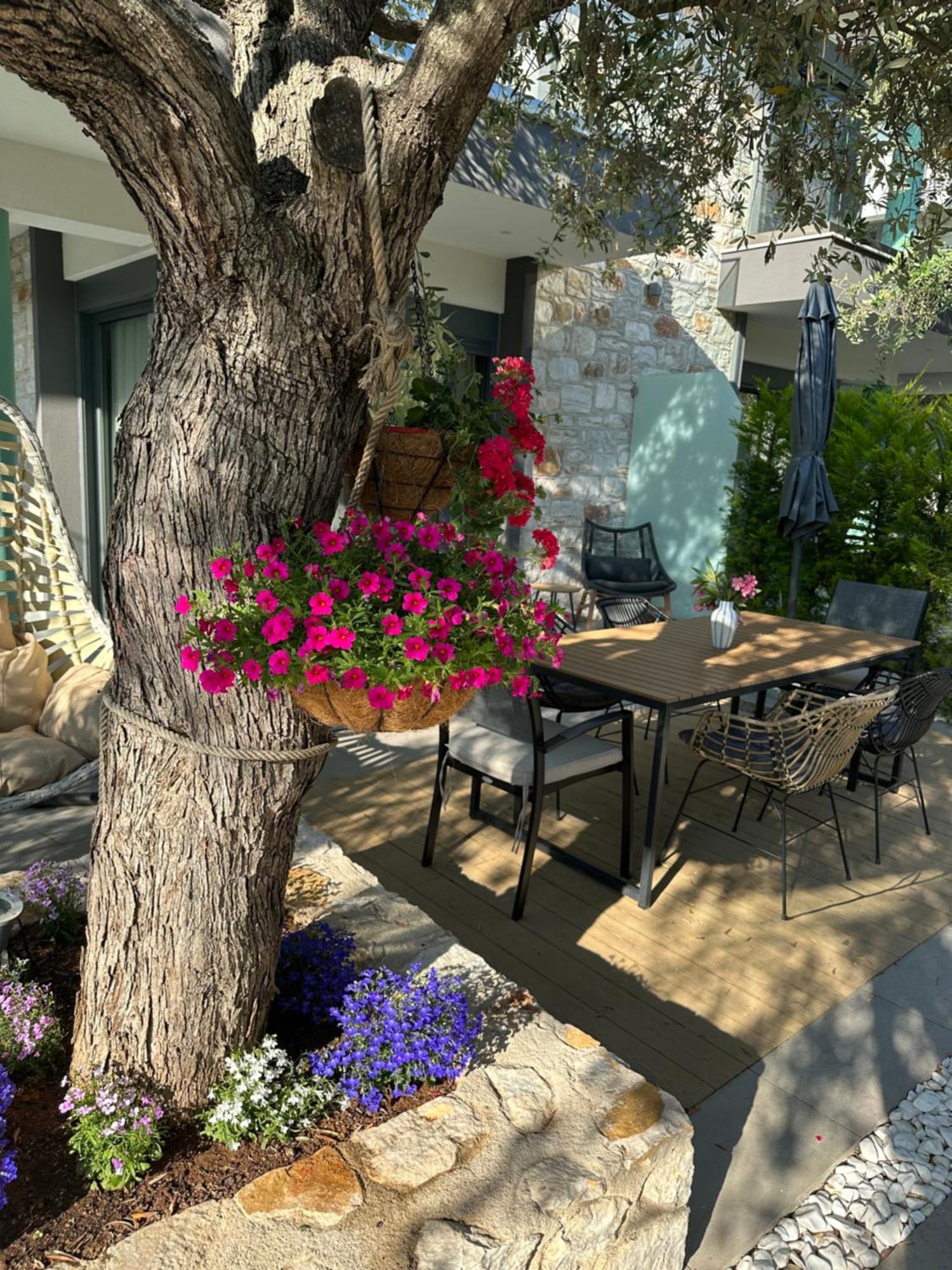 Danielli Luxury Villas Skala Rachoni  Exterior photo